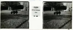 MAI0033.jpg