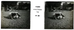 MAI0034.jpg