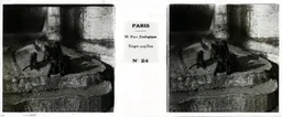 MAI0038.jpg
