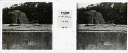 MAI0074.jpg