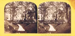 CAL0087.jpg