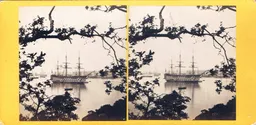 CAL0058.jpg