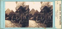 CAL0022.jpg