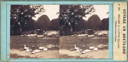 CAL0021.jpg