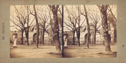 CAL0015.jpg