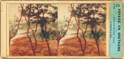 CAL0197.jpg
