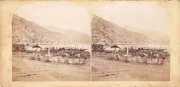 CAL0250.jpg