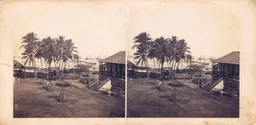 CAL0251.jpg