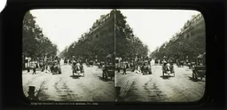 CAL0483.jpg