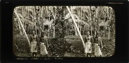 CAL0495.jpg