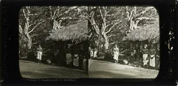 CAL0502.jpg