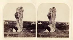 CAL0512.jpg