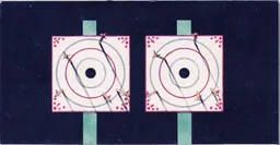 CAL0518.jpg