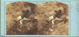 DUP0397.jpg