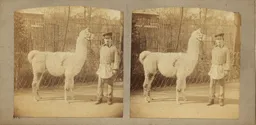 DUP0494.jpg