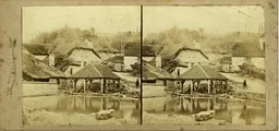 TST070.jpg