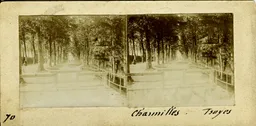 TST091.jpg