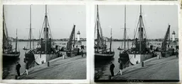 MP1029.jpg