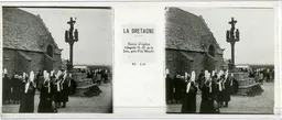 MP1116.jpg