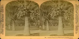 Mag0042.jpg