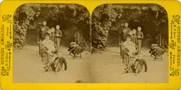 Mag0243.jpg