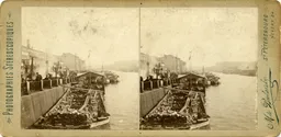 Mag0494.jpg