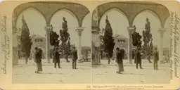 Mag0550.jpg