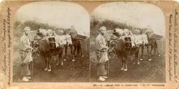 Mag0636.jpg