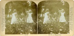 Mag0645.jpg