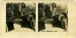 Mag0765.jpg