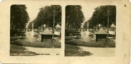 Mag0767.jpg