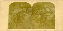Mag0821.jpg