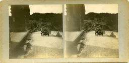 Mag0867.jpg