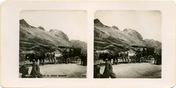 Mag0963.jpg