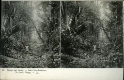Mag1790.jpg