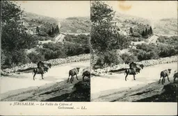 Mag1875.jpg