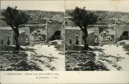 Mag1878.jpg