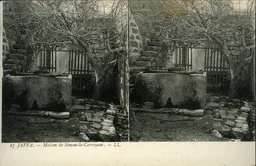 Mag1884.jpg
