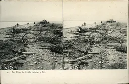 Mag1890.jpg