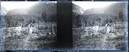 Mag2051.jpg