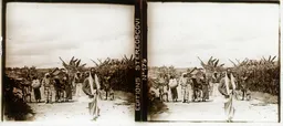 Mag2165.jpg