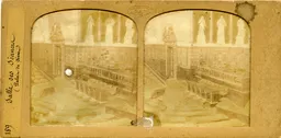 MAG3317.jpg