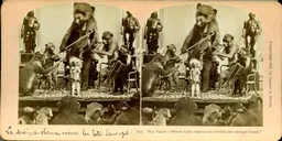 MAG3380.jpg