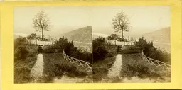MAG3396.jpg