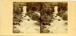 MAG3397.jpg