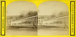 MAG3420.jpg