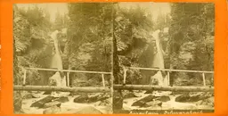 MAG3432.jpg
