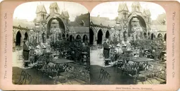 MAG3435.jpg