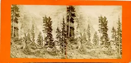 MAG3462.jpg