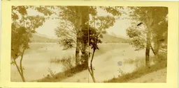 MAG3547.jpg